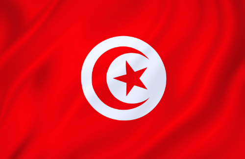 Image illustrating the big size flag of Tunisia