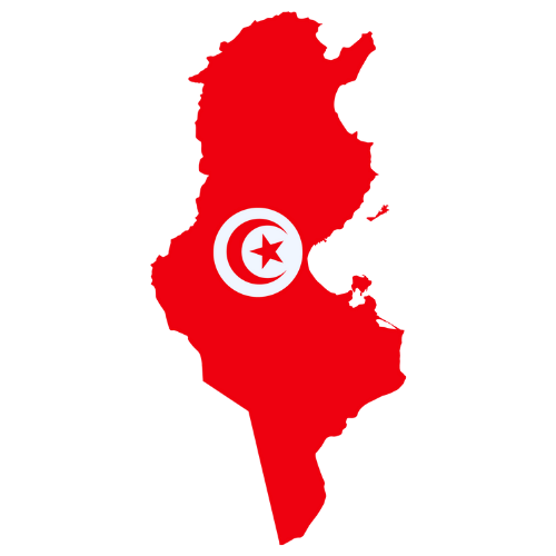 Pictorial representation of big size map of Tunisia
